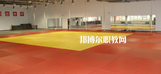 2023渭南市青少年體育運動學校招生計劃 招生人數(shù)是多少(附要求、條件、對象)