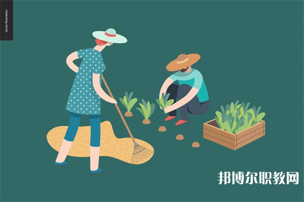 南充交通職業(yè)學(xué)校有哪些招生專(zhuān)業(yè)（2023年）