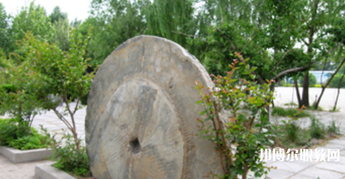 野風(fēng)美術(shù)中學(xué)怎么樣、好不好