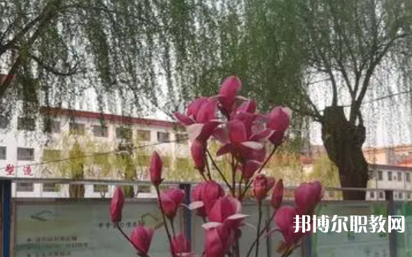 2023柏鄉(xiāng)縣職教中心招生計劃 招生人數(shù)是多少(附要求、條件、對象)