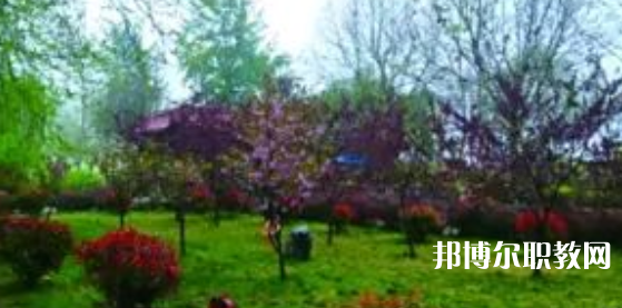 2023隆堯縣職業(yè)技術(shù)教育中心招生計(jì)劃 招生人數(shù)是多少(附要求、條件、對(duì)象)