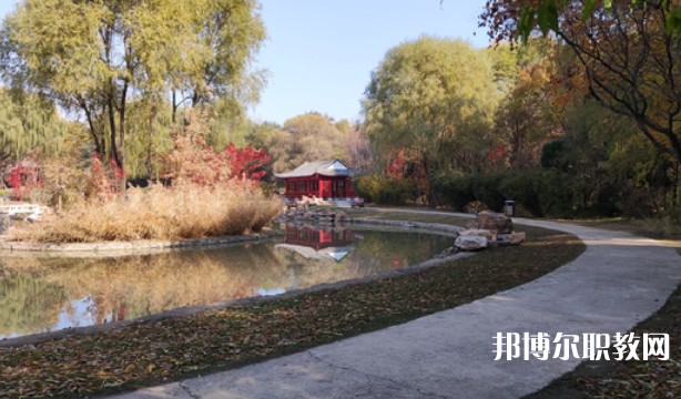 2024沈陽職業(yè)技術(shù)學(xué)院附屬中等專業(yè)學(xué)校招生計劃 招生人數(shù)是多少(附要求、條件、對象)