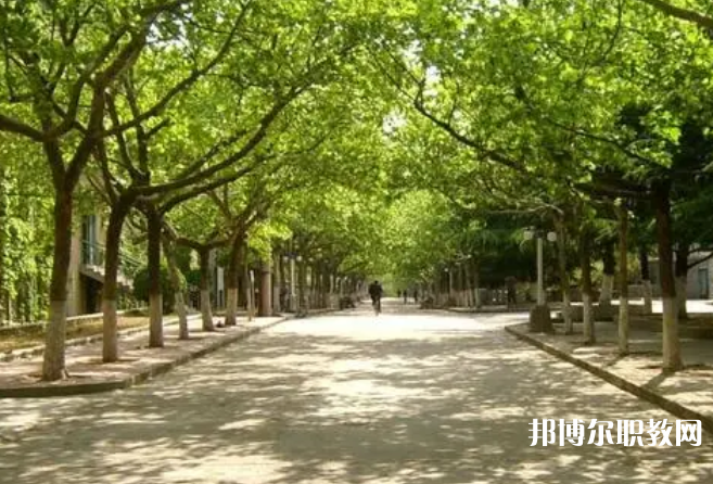成都2025年讀鐵路學(xué)?？梢钥即髮W(xué)嗎